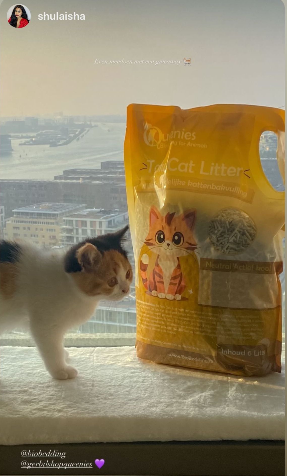 Tofu Cat litter voor Kittens